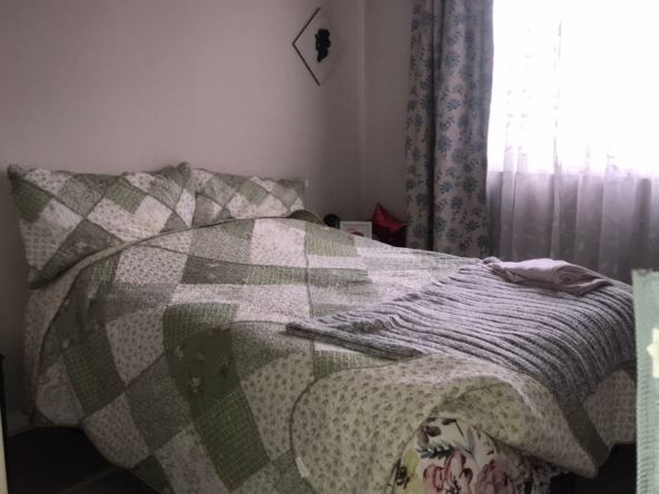 IMG-20241119-WA0008